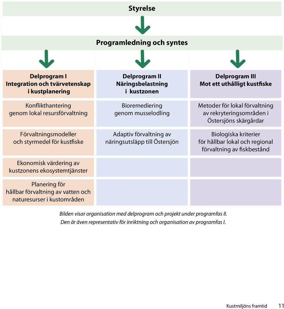 musselodling Adaptiv förvaltning av näringsutsläpp till Östersjön Delprogram III Mot ett uthålligt kustfiske Metoder för lokal förvaltning av rekryteringsområden i Östersjöns skärgårdar Biologiska