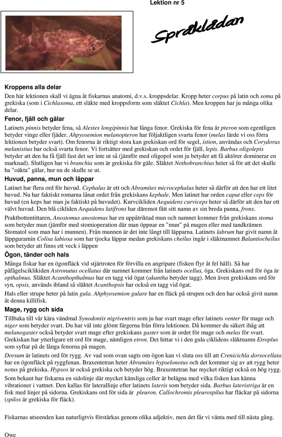 Fenor, fjäll och gälar Latinets pinnis betyder fena, så Alestes longipinnis har långa fenor. Grekiska för fena är pteron som egentligen betyder vinge eller fjäder.