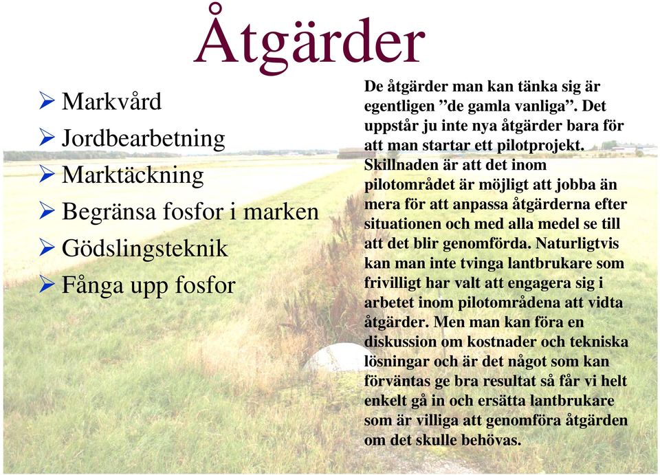 Skillnaden är att det inom pilotområdet är möjligt att jobba än mera för att anpassa åtgärderna efter situationen och med alla medel se till att det blir genomförda.