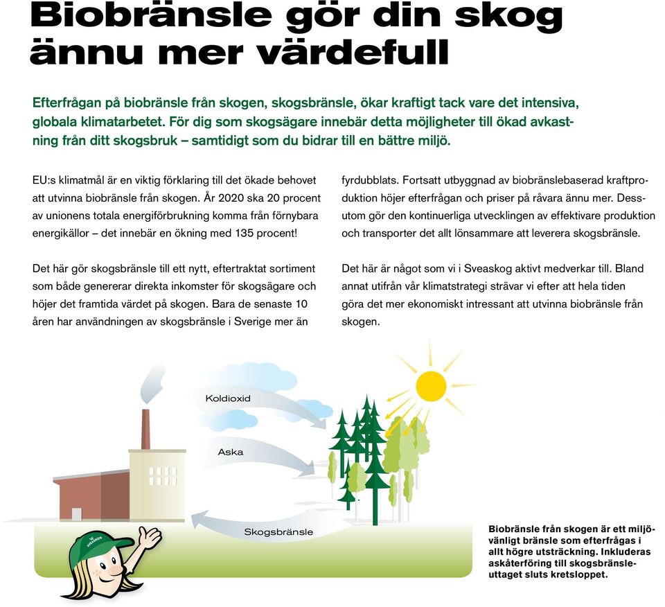 EU:s klimatmål är en viktig förklaring till det ökade behovet att utvinna biobränsle från skogen.