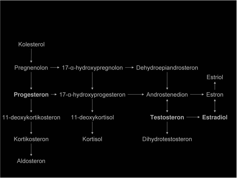 17-α-hydroxyprogesteron Androstenedion Estron