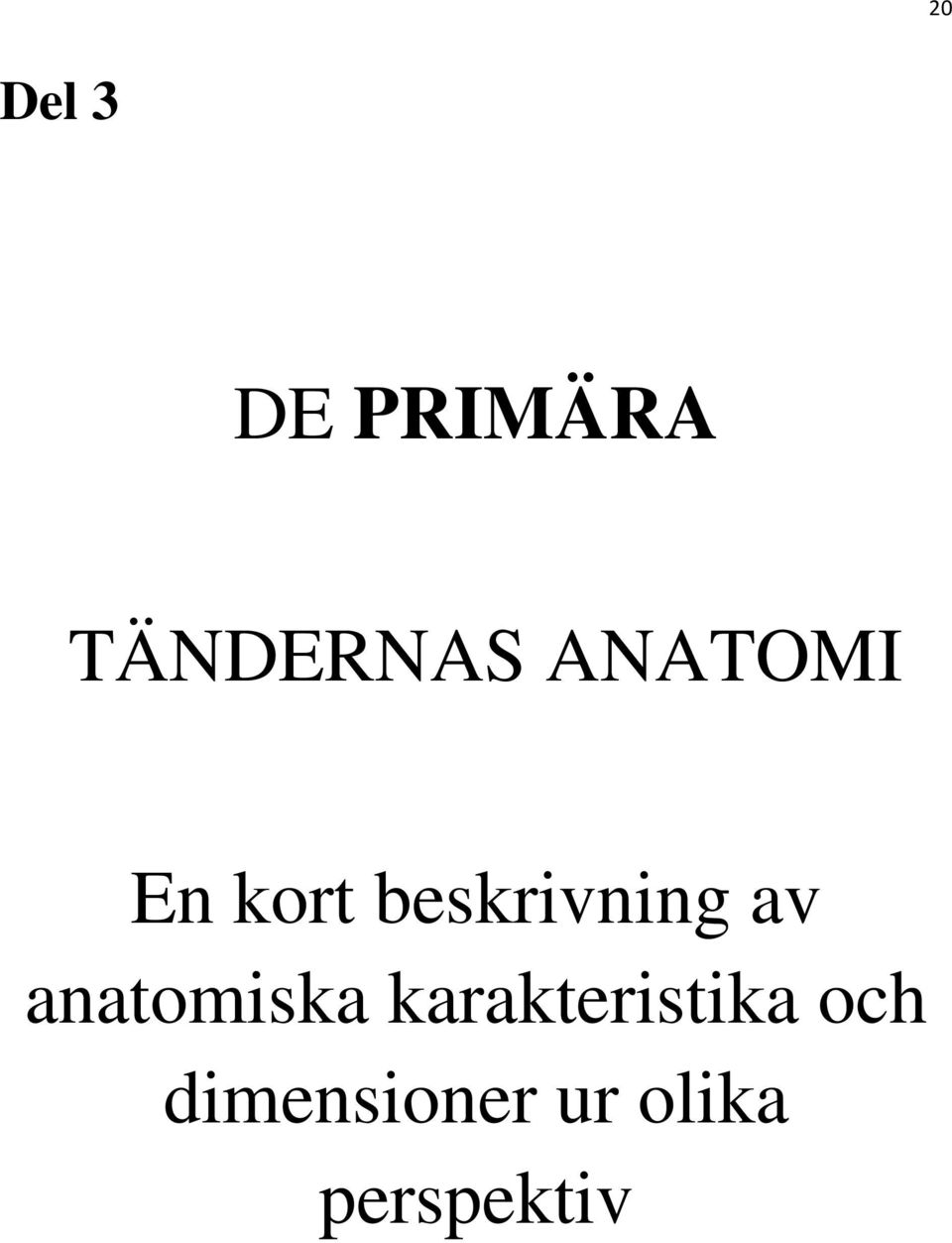 anatomiska karakteristika och