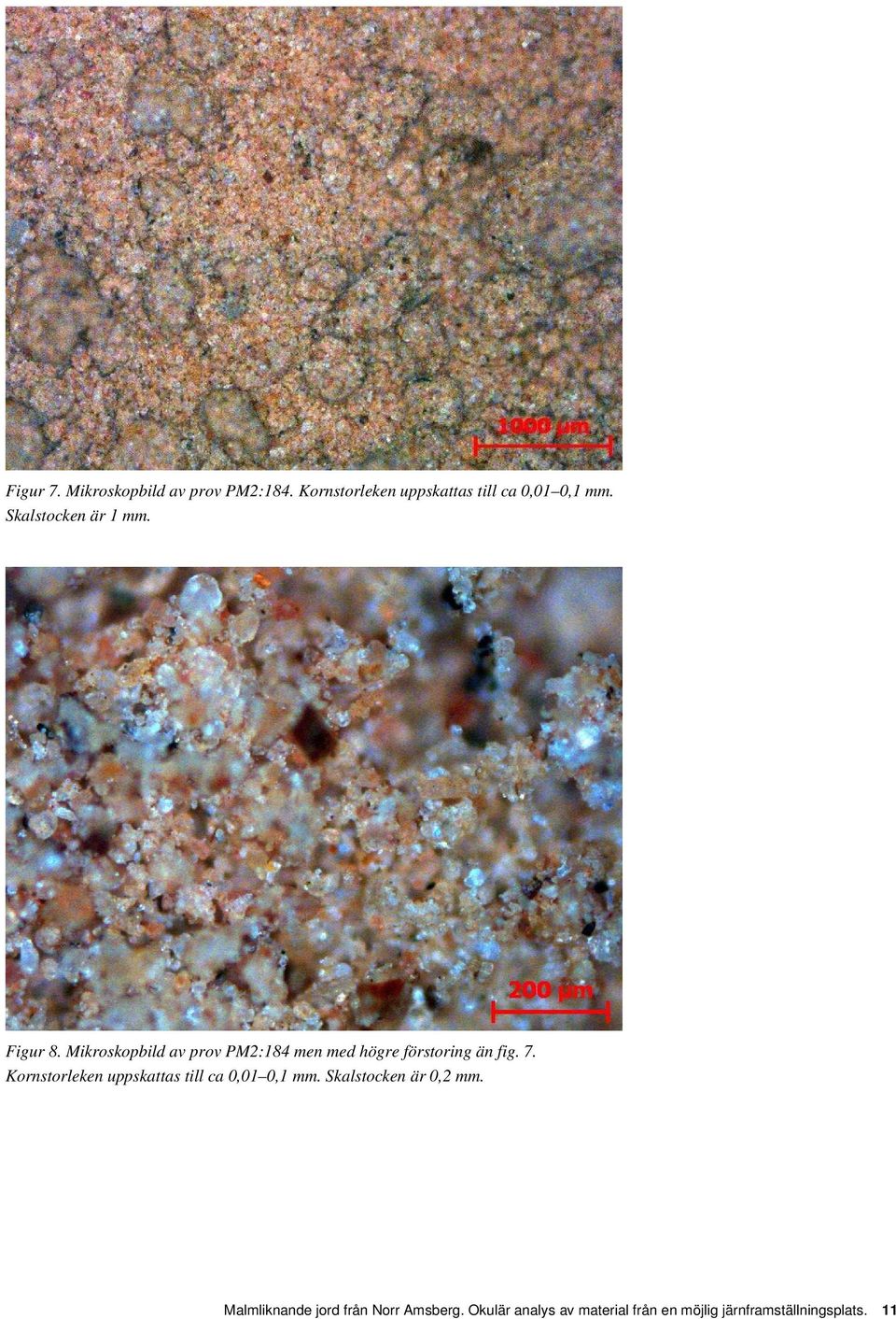 Mikroskopbild av prov PM2:184 men med högre förstoring än fig. 7.