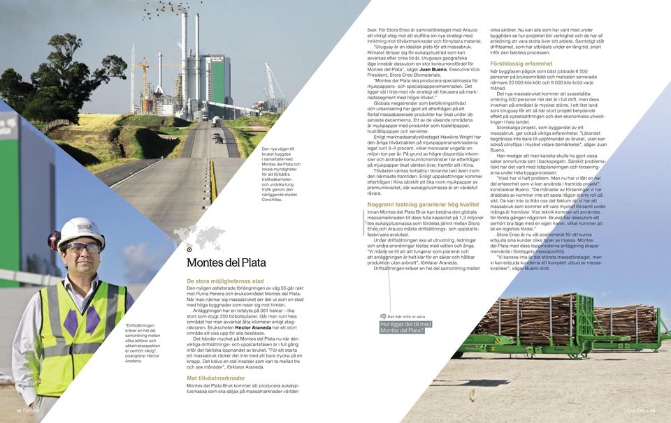 Uruguay är en idealisk plats för ett massabruk. Klimatet lämpar sig för eukalyptusträd som kan avverkas efter cirka tio år.