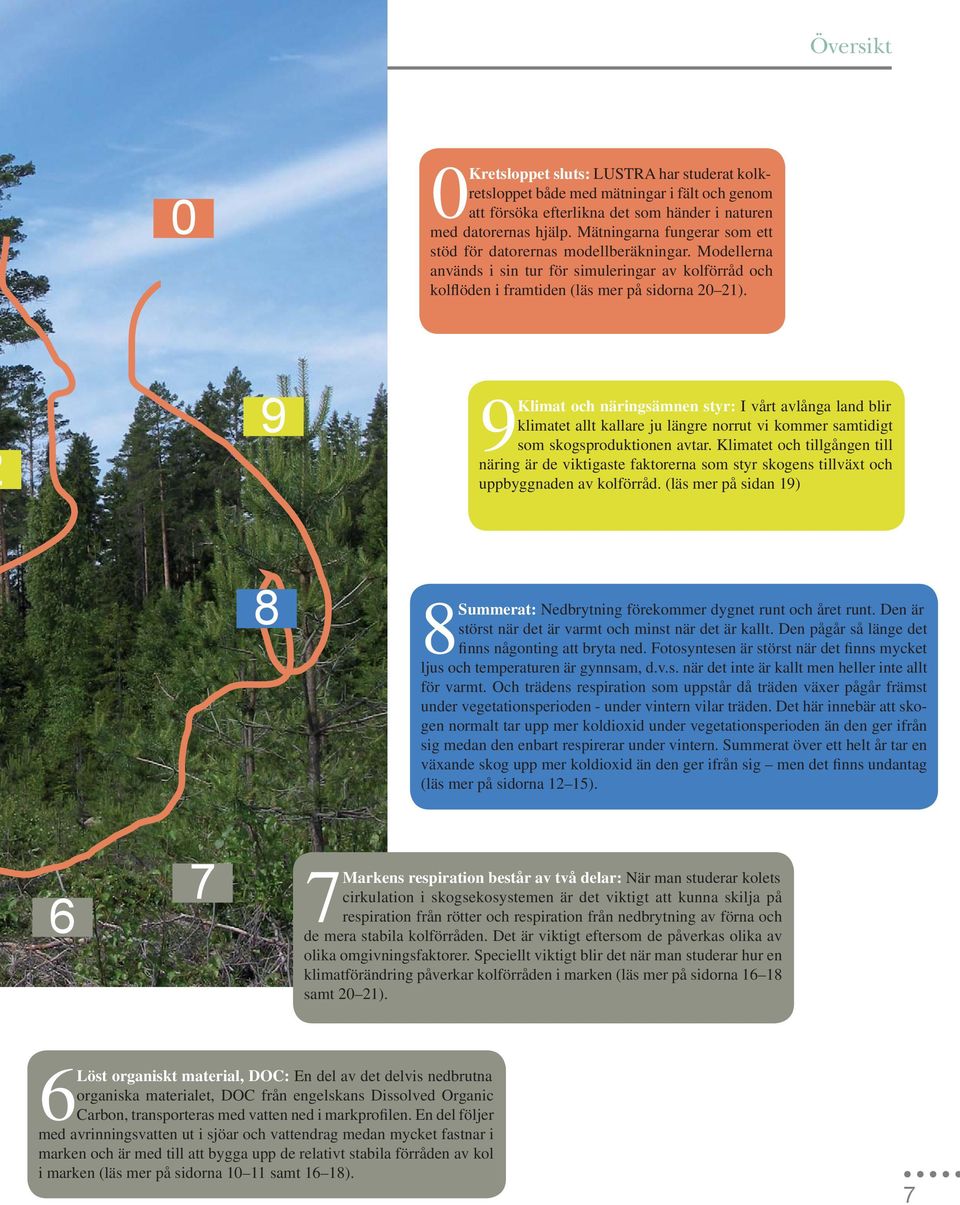 9 9Klimat och näringsämnen styr: I vårt avlånga land blir klimatet allt kallare ju längre norrut vi kommer samtidigt som skogsproduktionen avtar.