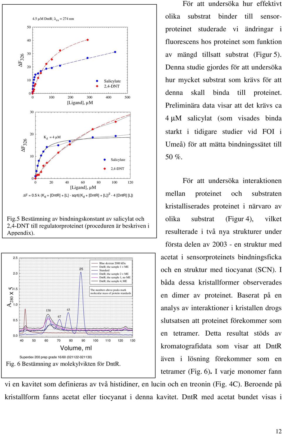 ändringar i fluorescens hos proteinet som funktion av mängd tillsatt substrat (Figur 5). Denna studie gjordes för att undersöka hur mycket substrat som krävs för att denna skall binda till proteinet.