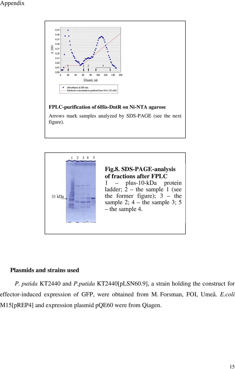 sample 3; 5 the sample 4. Plasmids and strains used P. putida KT2440 and P.putida KT2440[pLSN60.