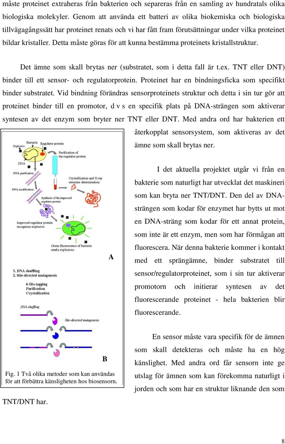 Detta måste göras för att kunna bestämma proteinets kristallstruktur. Det ämne som skall brytas ner (substratet, som i detta fall är t.ex. TNT eller DNT) binder till ett sensor- och regulatorprotein.