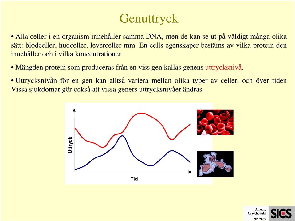 Mängden protein som produceras från en viss gen kallas genens uttrycksnivå.