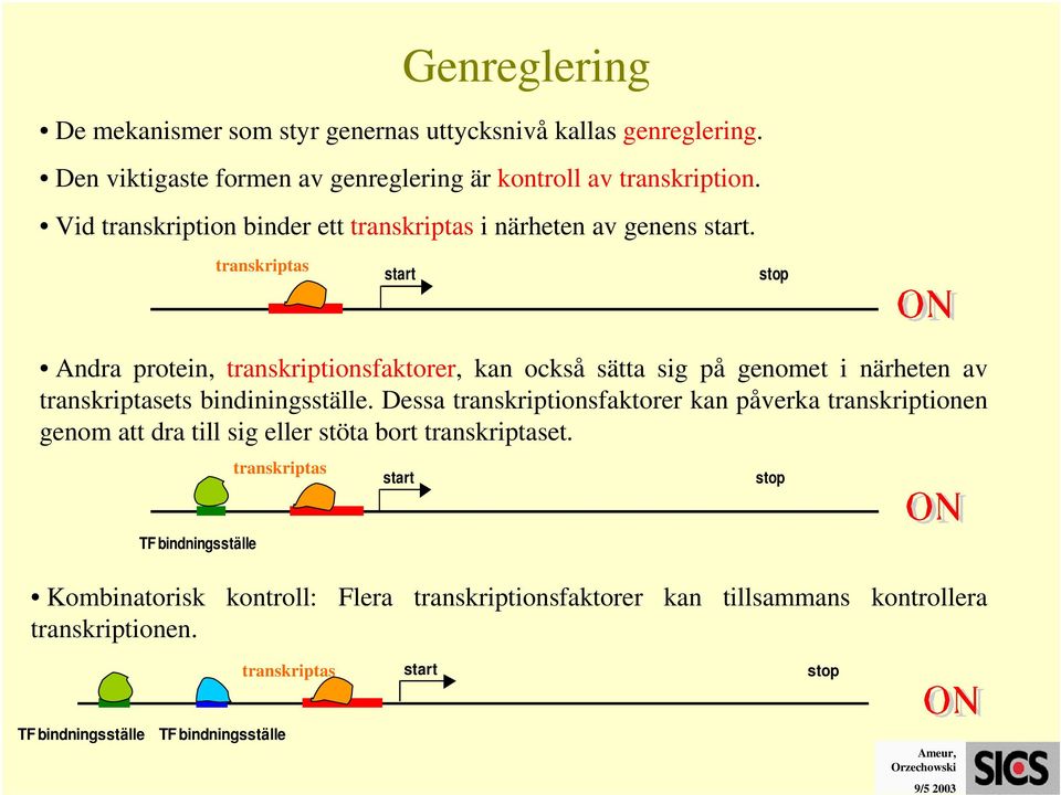 transkriptas start stop ndra protein, transkriptionsfaktorer, kan också sätta sig på genomet i närheten av transkriptasets bindiningsställe.