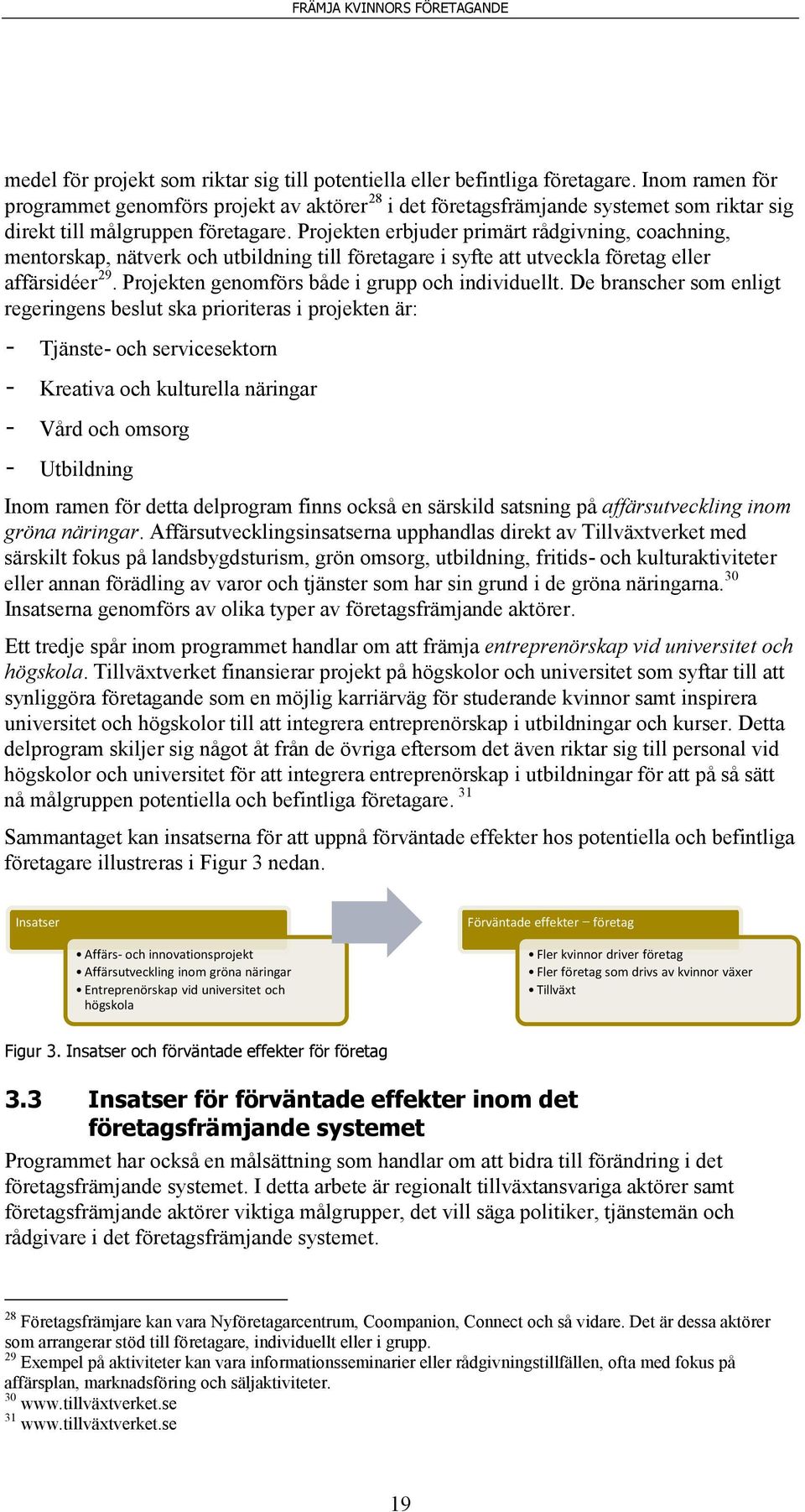 Projekten erbjuder primärt rådgivning, coachning, mentorskap, nätverk och utbildning till företagare i syfte att utveckla företag eller affärsidéer 29.