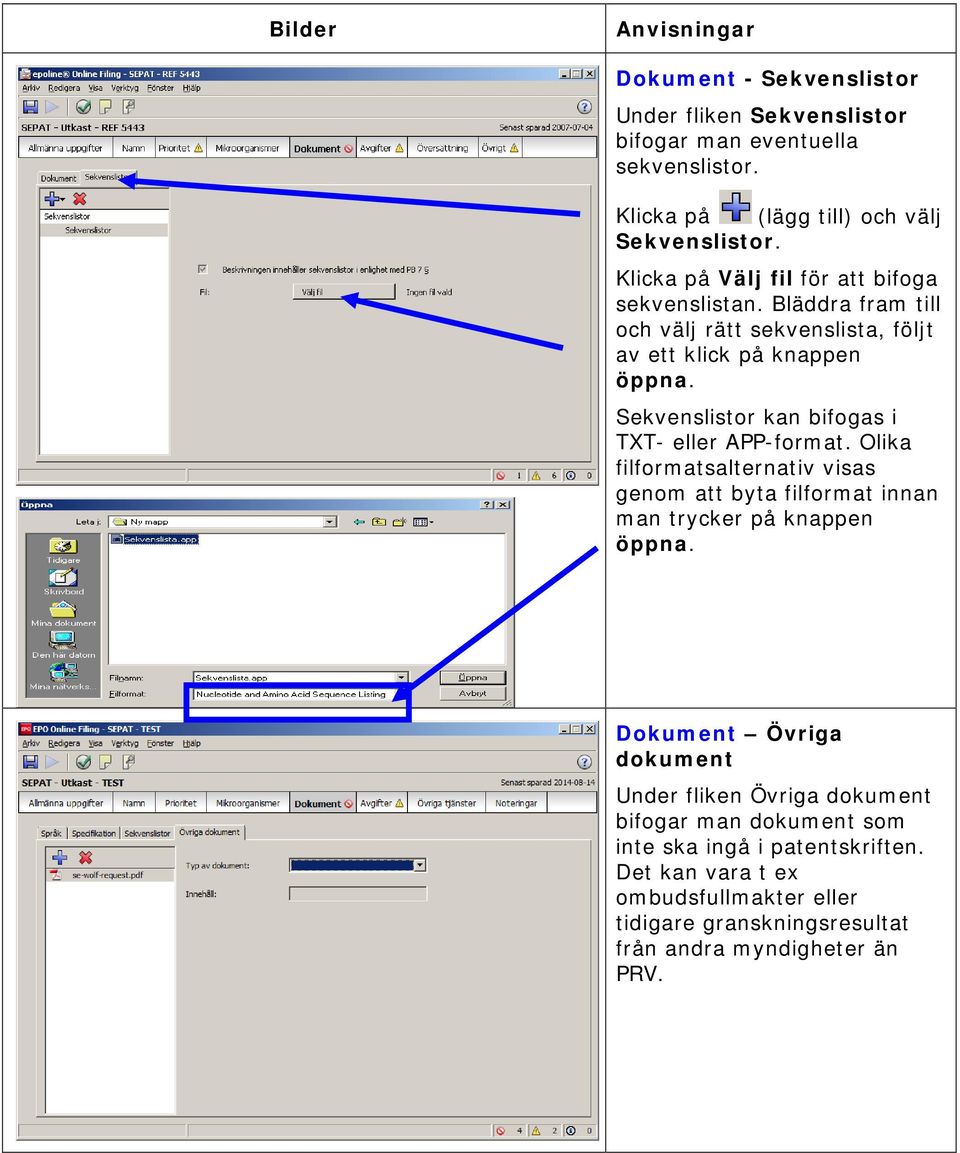 Sekvenslistor kan bifogas i TXT- eller APP-format. Olika filformatsalternativ visas genom att byta filformat innan man trycker på knappen öppna.