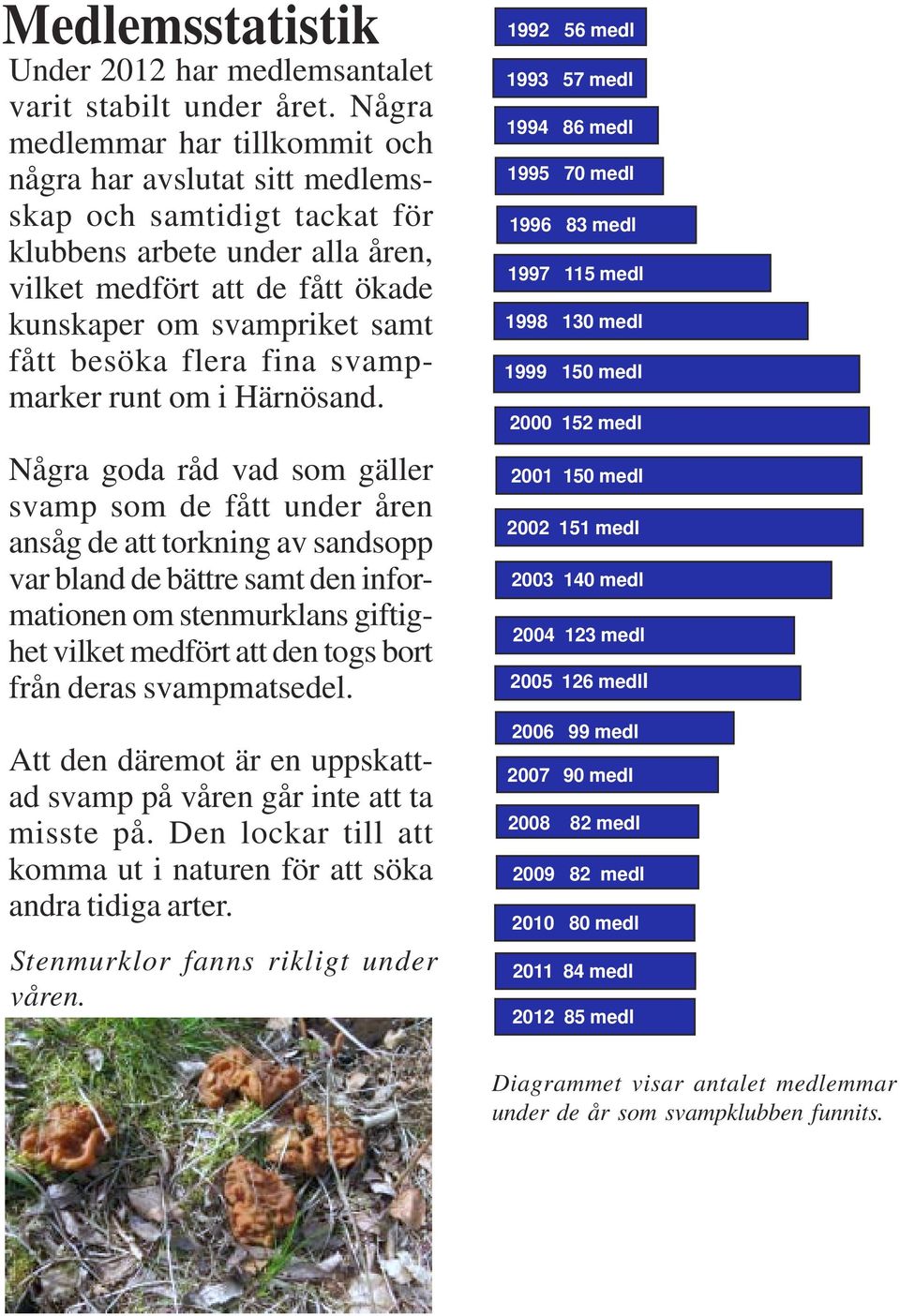 besöka flera fina svampmarker runt om i Härnösand.