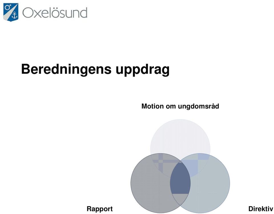 om ungdomsråd