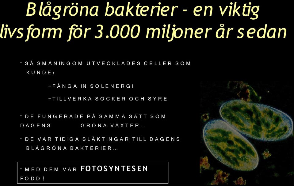 S O L E N E R G I - T I L L V E R K A S O C K E R O C H S Y R E D E F U N G E R A D E P Å S A M M A S Ä T T S O