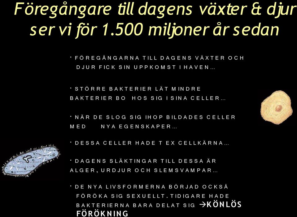 B A K T E R I E R B O H O S S I G I S I N A C E L L E R N Ä R D E S L O G S I G I H O P B I L D A D E S C E L L E R M E D N Y A E G E N S K A P E R D E S S A C E L L E R H A D E T E