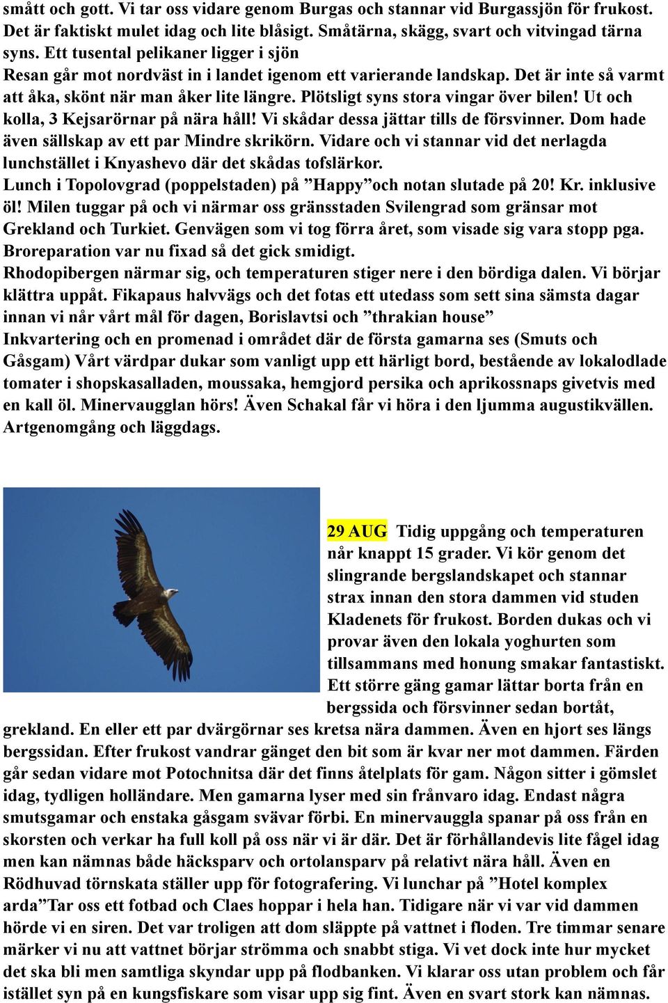 Plötsligt syns stora vingar över bilen! Ut och kolla, 3 Kejsarörnar på nära håll! Vi skådar dessa jättar tills de försvinner. Dom hade även sällskap av ett par Mindre skrikörn.