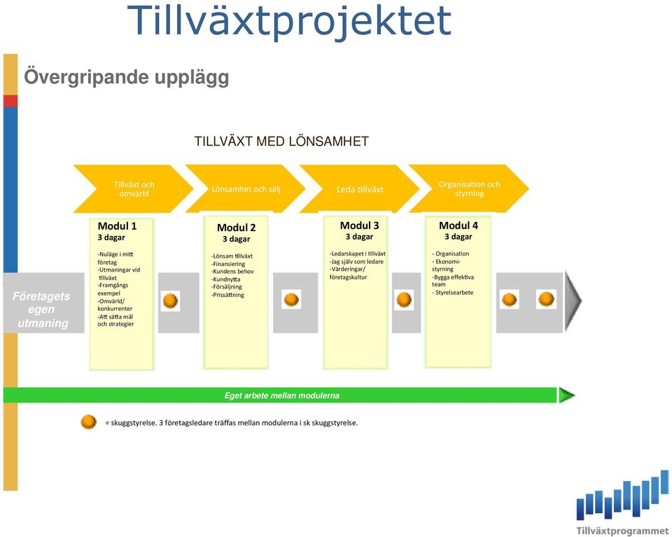 -Lönsam llväxt -Finansiering -Kundens behov -Kundny a -Försäljning -Prissä ning -Ledarskapet i llväxt -Jag själv som ledare -Värderingar/ företagskultur - Organisa