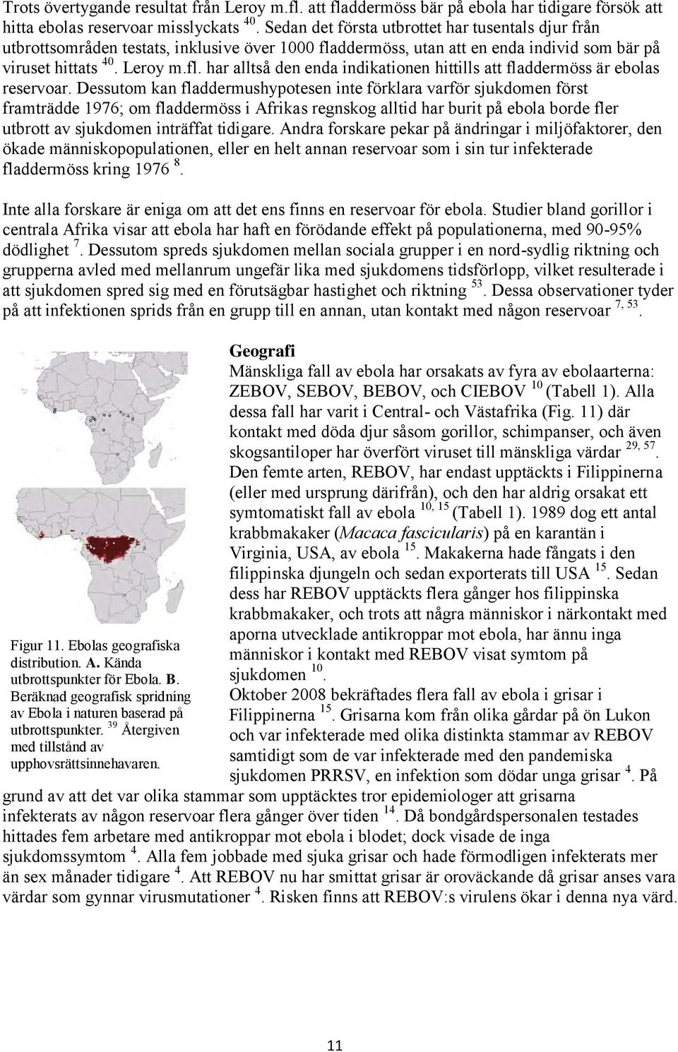 Dessutom kan fladdermushypotesen inte förklara varför sjukdomen först framträdde 1976; om fladdermöss i Afrikas regnskog alltid har burit på ebola borde fler utbrott av sjukdomen inträffat tidigare.