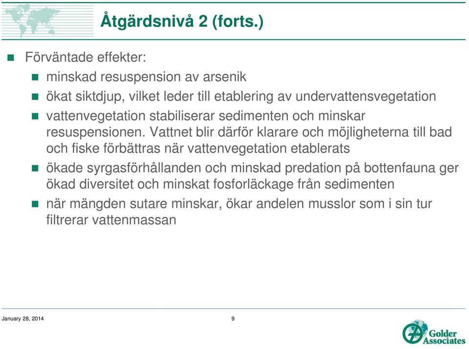 vattenvegetation stabiliserar sedimenten och minskar resuspensionen.