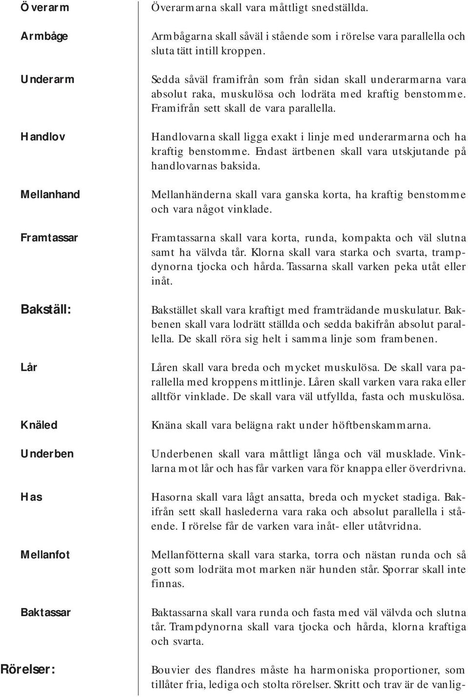 Sedda såväl framifrån som från sidan skall underarmarna vara absolut raka, muskulösa och lodräta med kraftig benstomme. Framifrån sett skall de vara parallella.