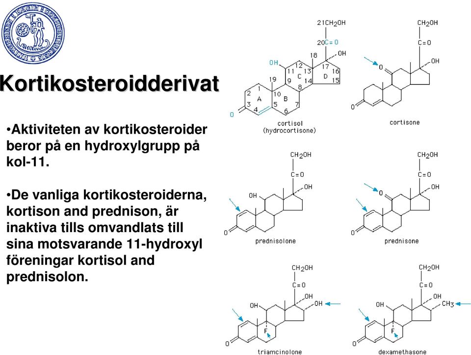 De vanliga kortikosteroiderna, kortison and prednison, är