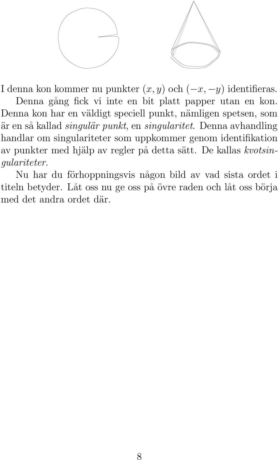 Denna avhandling handlar om singulariteter som uppkommer genom identifikation av punkter med hjälp av regler på detta sätt.