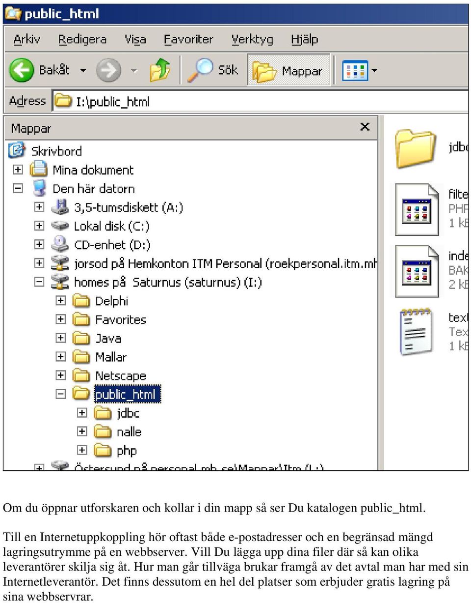 webbserver. Vill Du lägga upp dina filer där så kan olika leverantörer skilja sig åt.