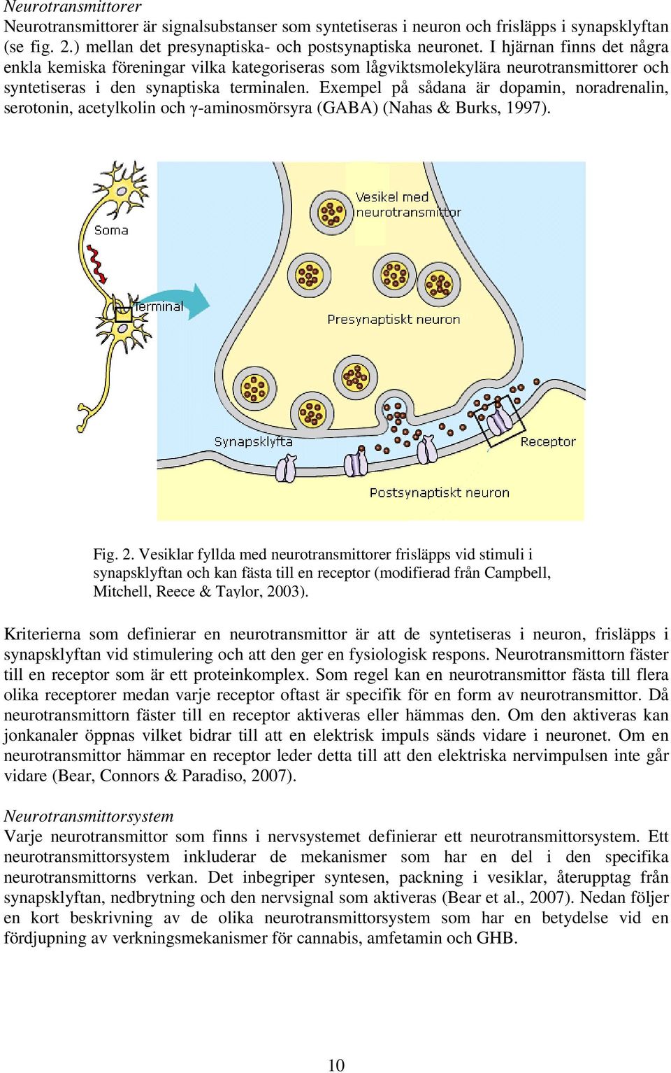 Exempel på sådana är dopamin, noradrenalin, serotonin, acetylkolin och γ-aminosmörsyra (GABA) (Nahas & Burks, 1997). Fig. 2.