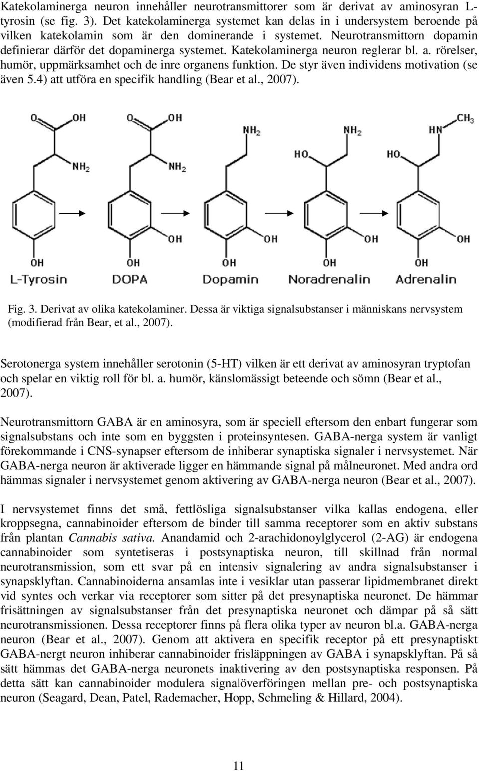 Katekolaminerga neuron reglerar bl. a. rörelser, humör, uppmärksamhet och de inre organens funktion. De styr även individens motivation (se även 5.4) att utföra en specifik handling (Bear et al.