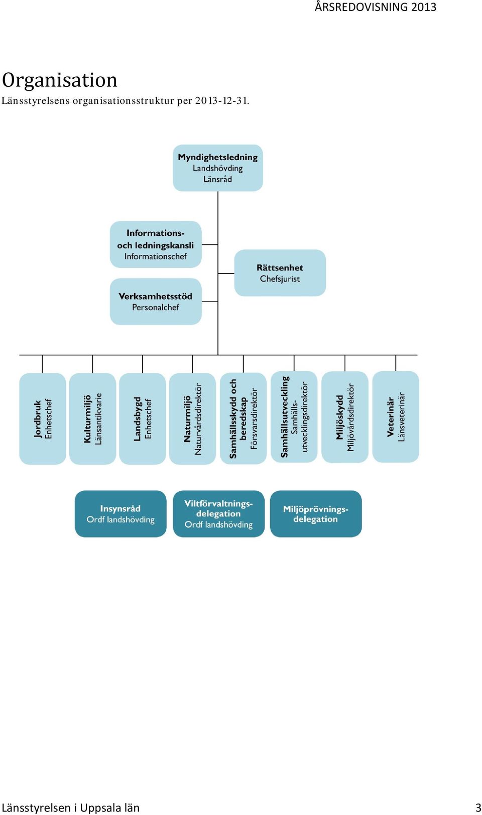 organisationsstruktur