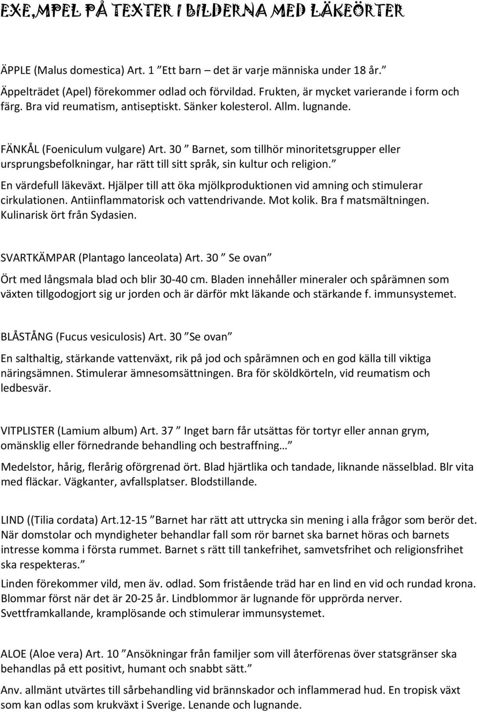 30 Barnet, som tillhör minoritetsgrupper eller ursprungsbefolkningar, har rätt till sitt språk, sin kultur och religion. En värdefull läkeväxt.