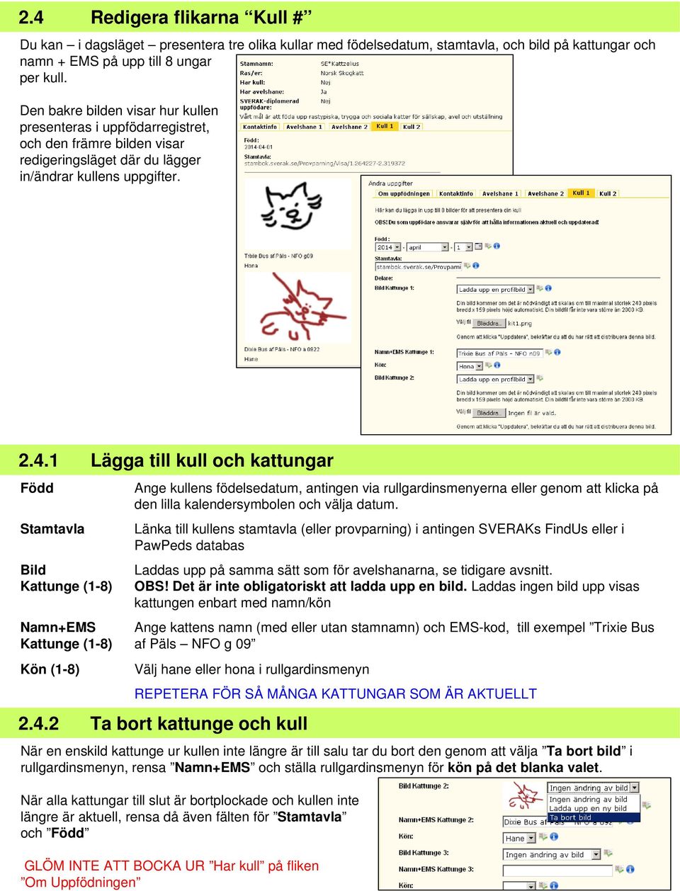 1 Lägga till kull och kattungar Född Stamtavla Bild Kattunge (1-8) Namn+EMS Kattunge (1-8) Kön (1-8) Ange kullens födelsedatum, antingen via rullgardinsmenyerna eller genom att klicka på den lilla