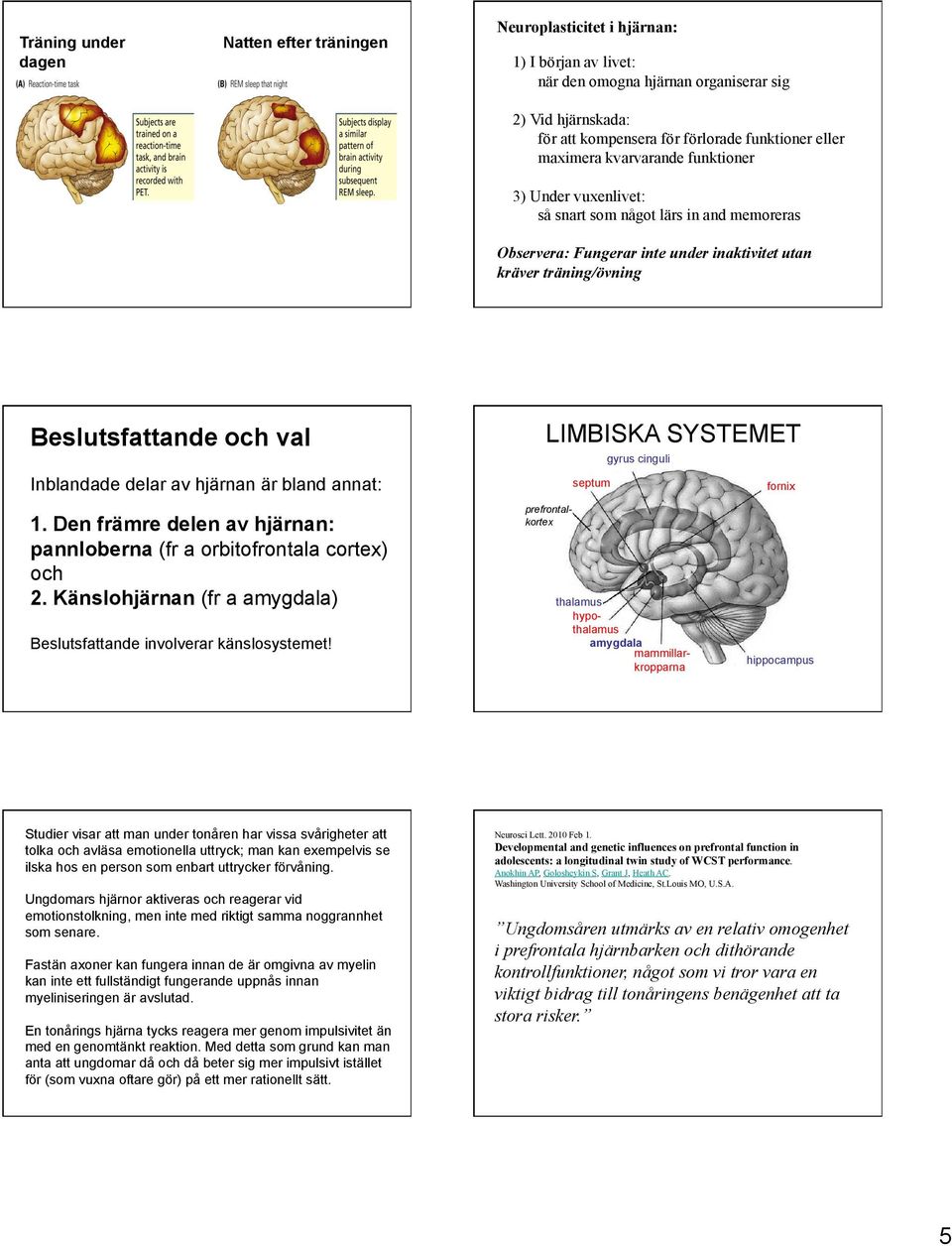 Inblandade delar av hjärnan är bland annat: 1. Den främre delen av hjärnan: pannloberna (fr a orbitofrontala cortex) och 2. Känslohjärnan (fr a amygdala) Beslutsfattande involverar känslosystemet!