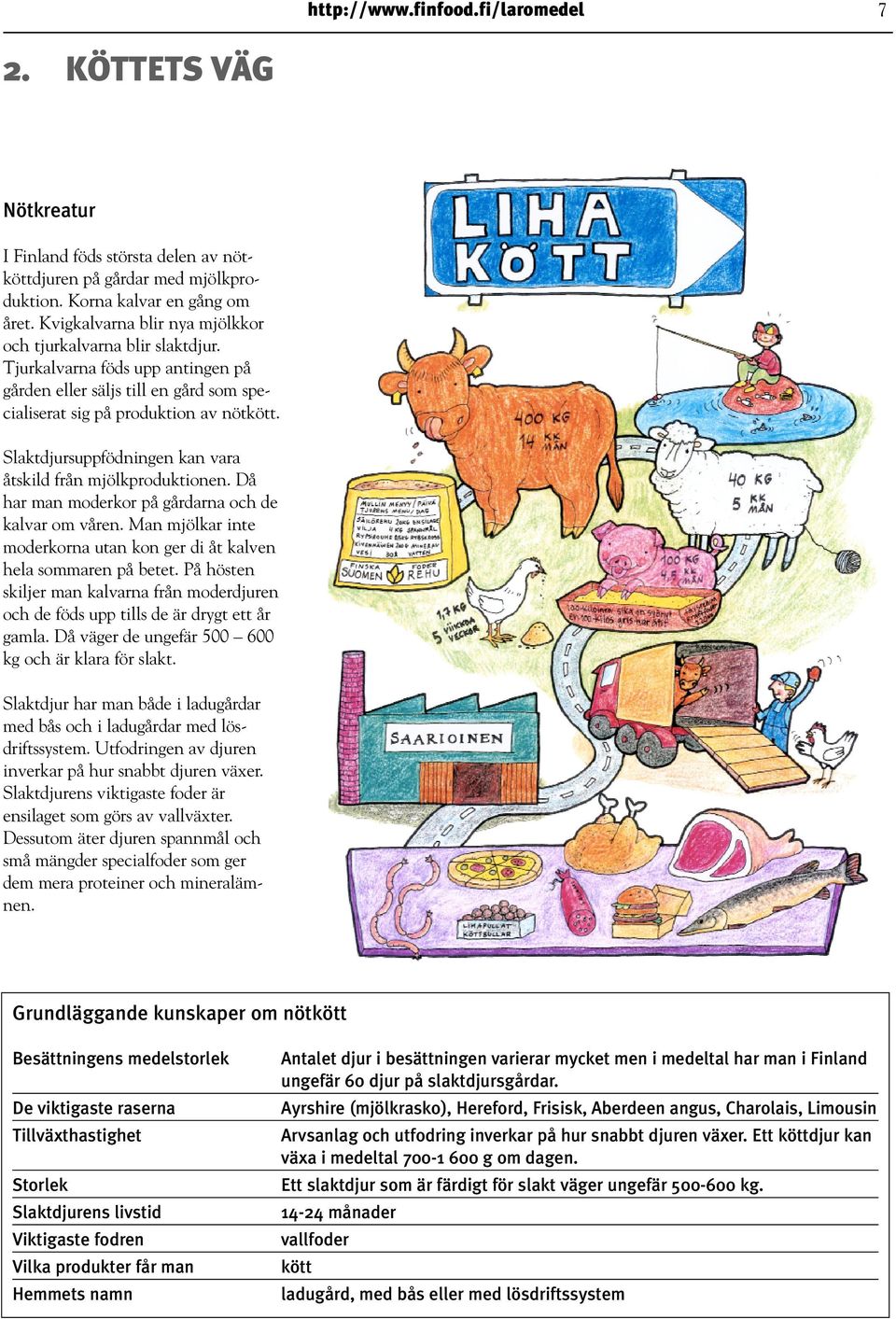 Slaktdjursuppfödningen kan vara åtskild från mjölkproduktionen. Då har man moderkor på gårdarna och de kalvar om våren. Man mjölkar inte moderkorna utan kon ger di åt kalven hela sommaren på betet.