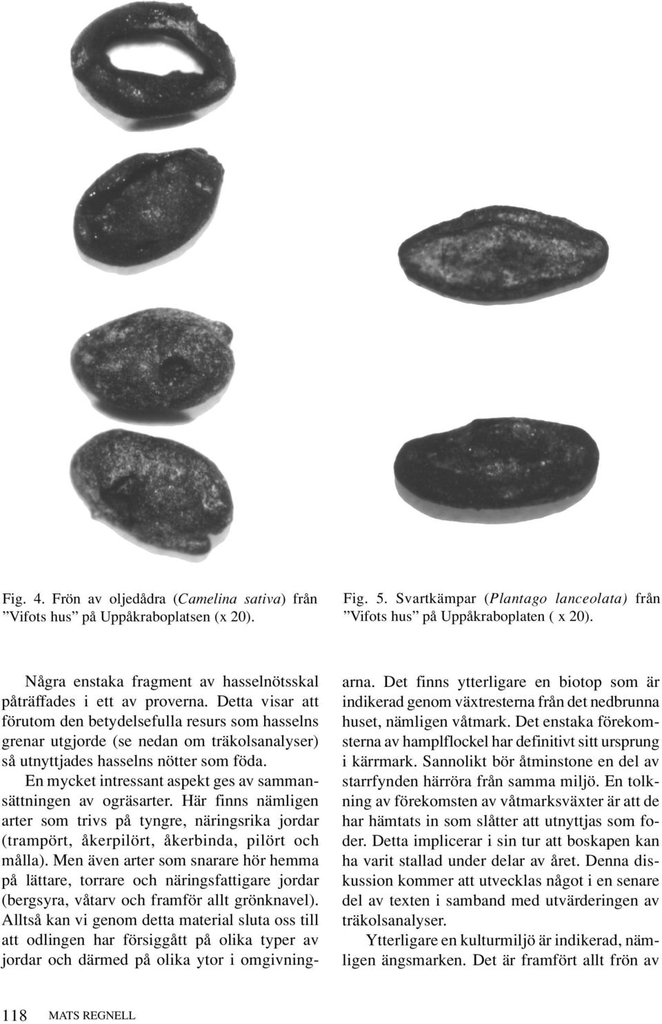 Detta visar att förutom den betydelsefulla resurs som hasselns grenar utgjorde (se nedan om träkolsanalyser) så utnyttjades hasselns nötter som föda.