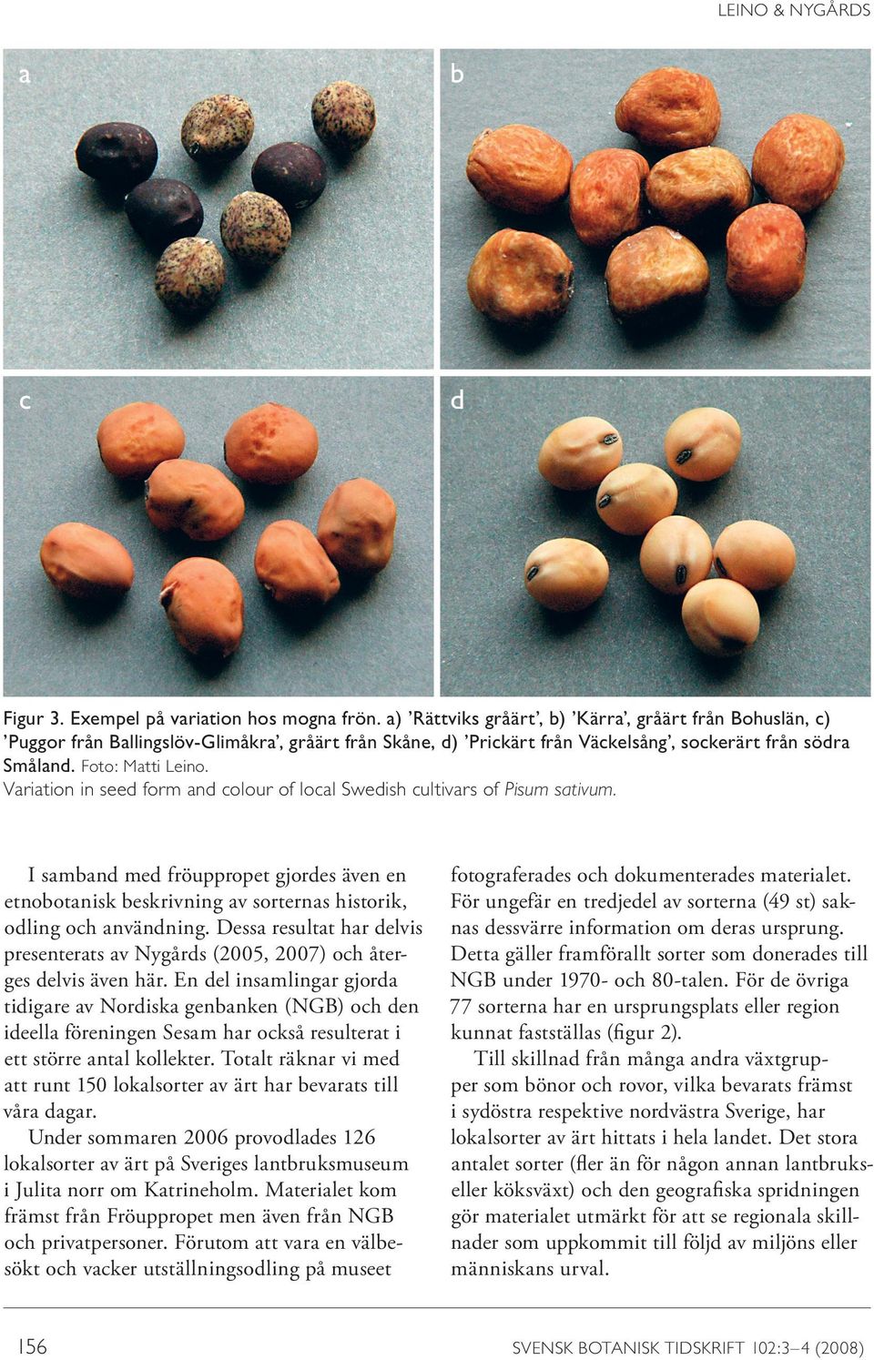 Variation in seed form and colour of local Swedish cultivars of Pisum sativum. I samband med fröuppropet gjordes även en etnobotanisk beskrivning av sorternas historik, odling och användning.