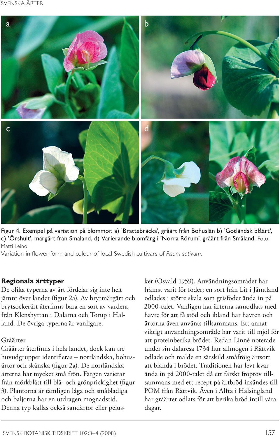 Variation in flower form and colour of local Swedish cultivars of Pisum sativum. Regionala ärttyper De olika typerna av ärt fördelar sig inte helt jämnt över landet (figur 2a).