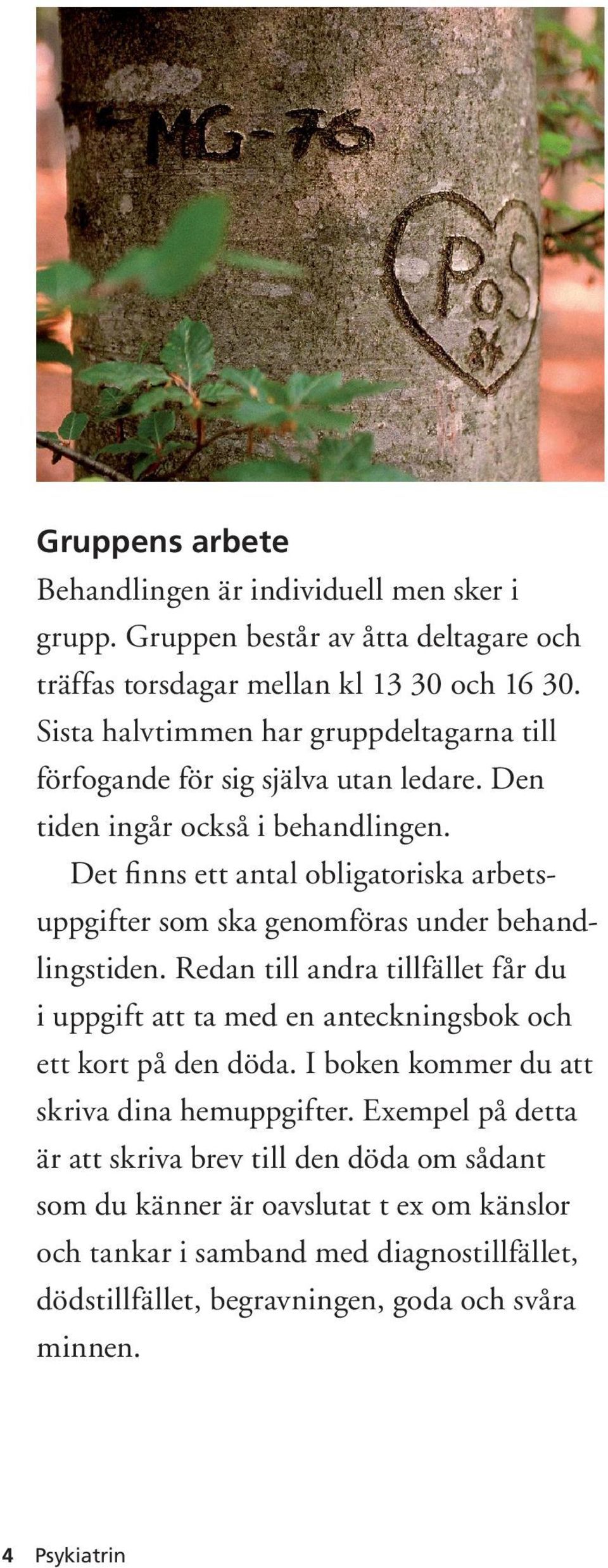 Det finns ett antal obligatoriska arbetsuppgifter som ska genomföras under behandlingstiden.