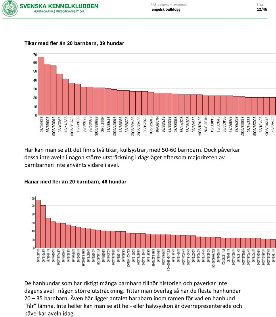 Hanar med fler än 20 barnbarn, 48 hundar De hanhundar som har riktigt många barnbarn tillhör historien och påverkar inte dagens avel i någon större utsträckning.