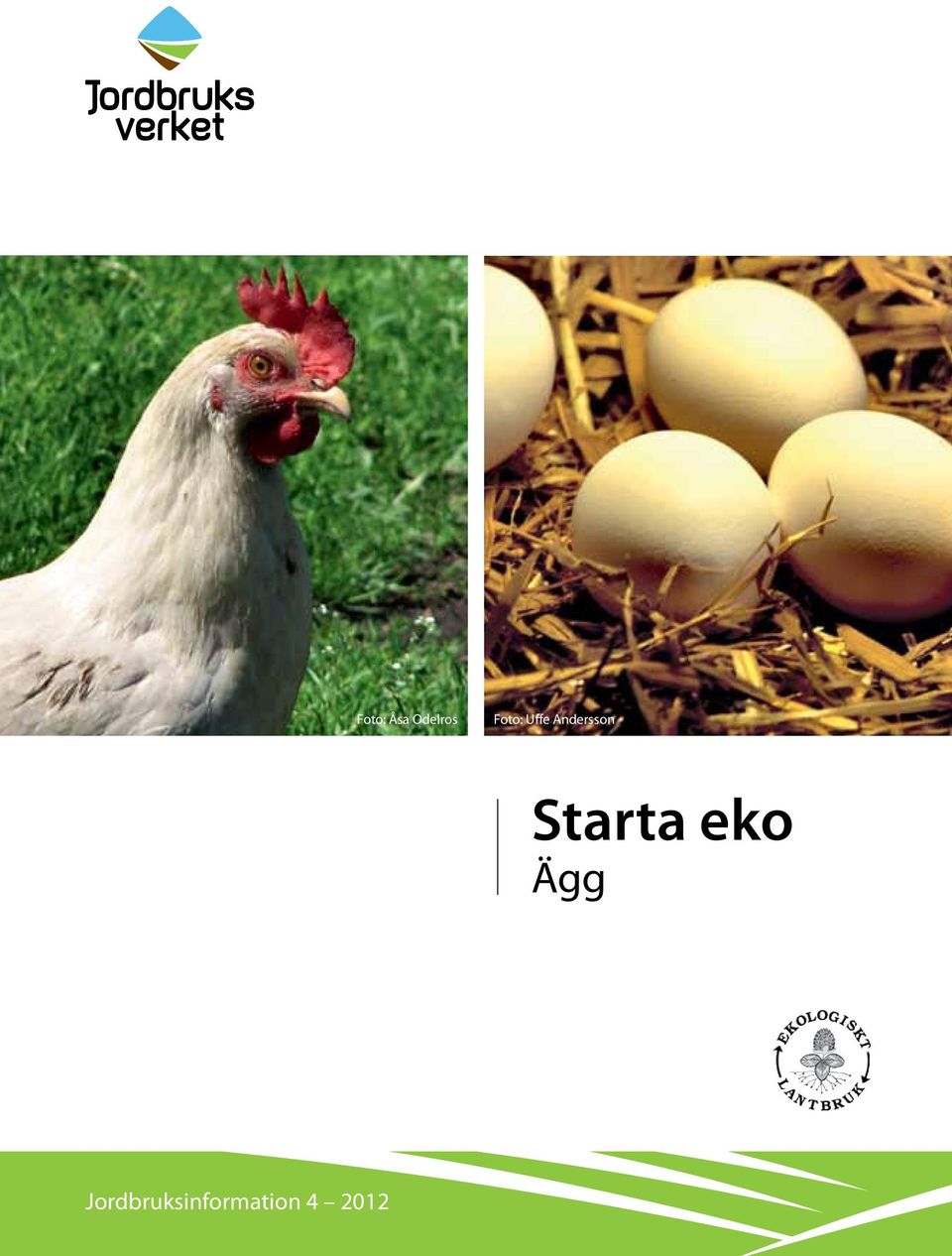 Starta eko Ägg