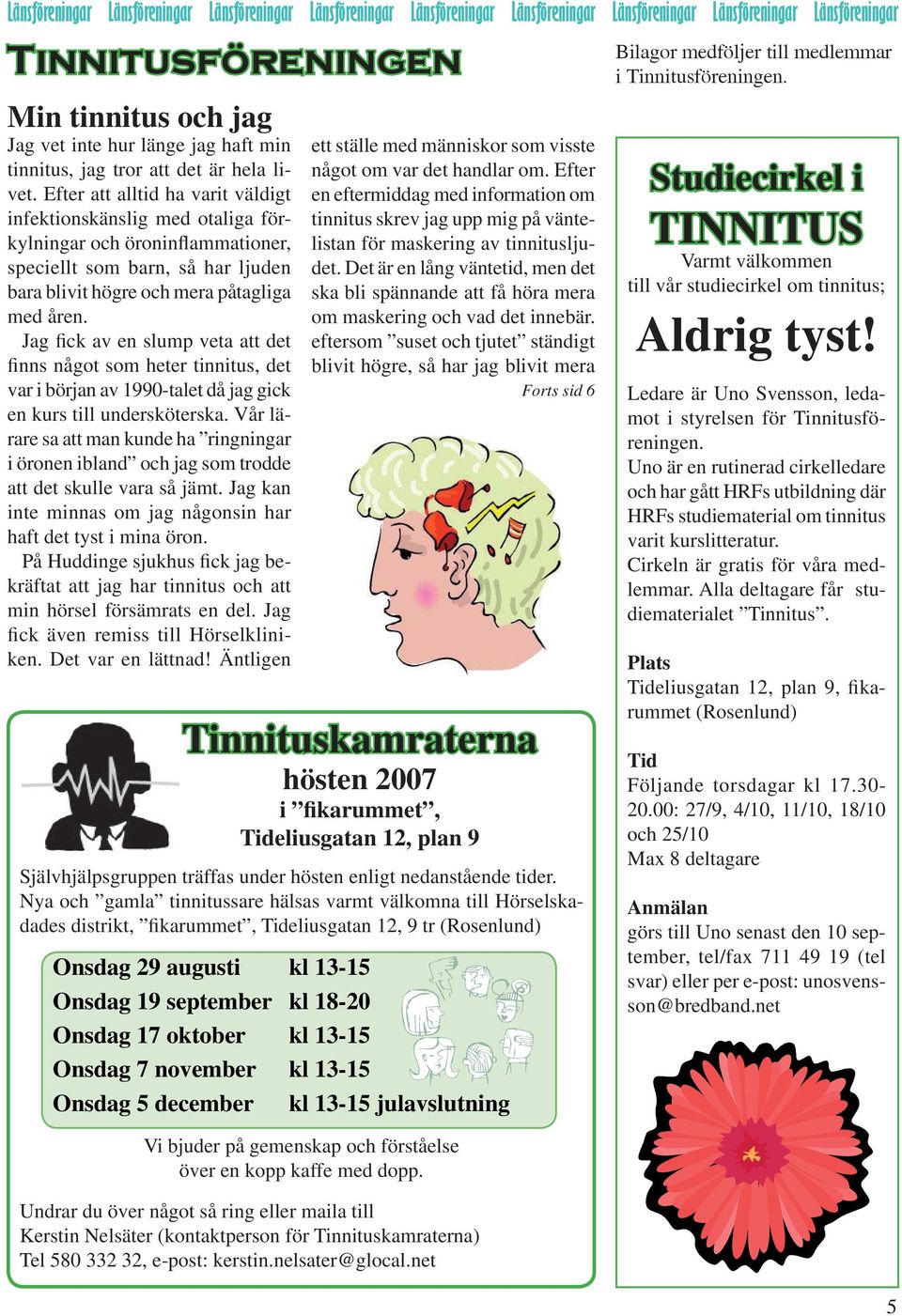 Efter att alltid ha varit väldigt infektionskänslig med otaliga förkylningar och öroninflammationer, speciellt som barn, så har ljuden bara blivit högre och mera påtagliga med åren.