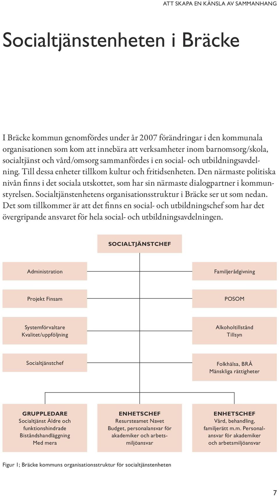 Den närmaste politiska nivån finns i det sociala utskottet, som har sin närmaste dialogpartner i kommunstyrelsen. Socialtjänstenhetens organisationsstruktur i Bräcke ser ut som nedan.