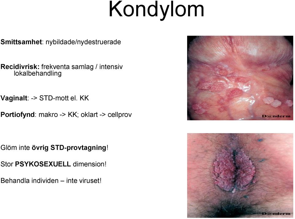 el. KK Portiofynd: makro -> KK; oklart -> cellprov Glöm inte övrig