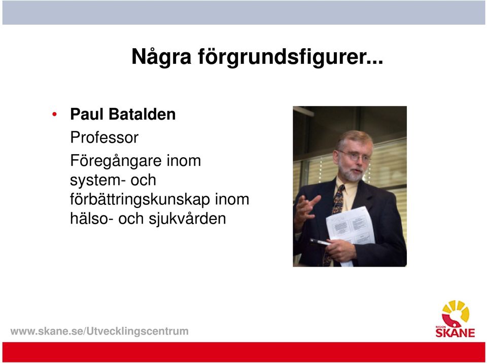 Föregångare inom system- och