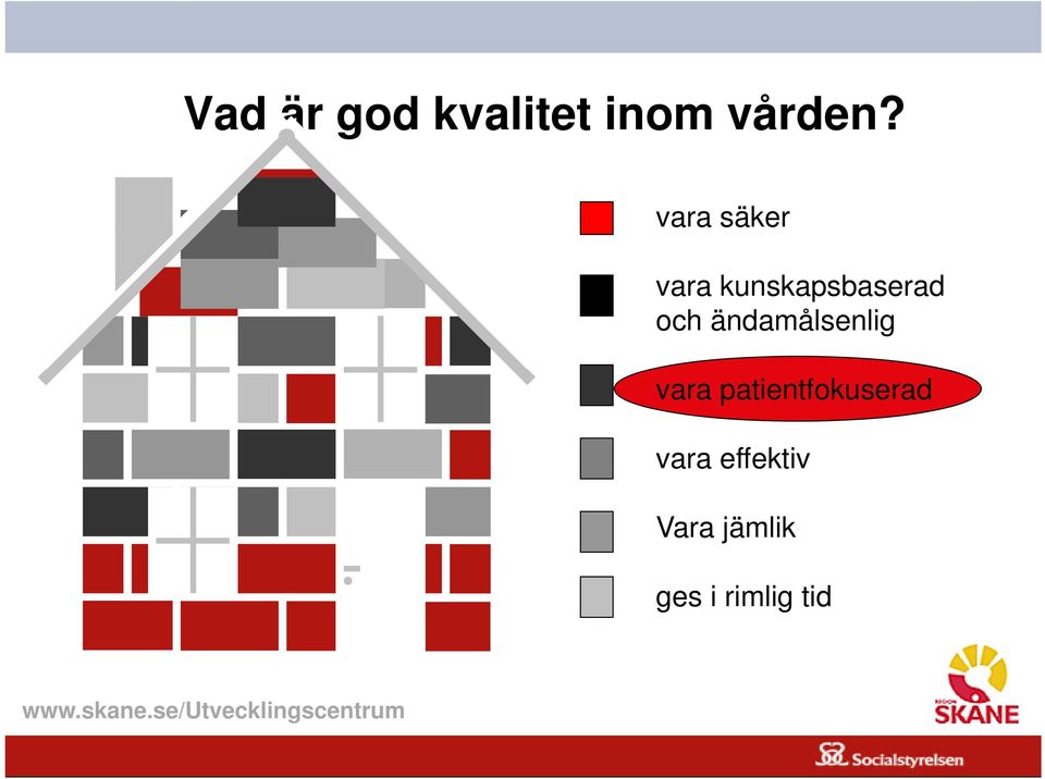 ändamålsenlig vara patientfokuserad