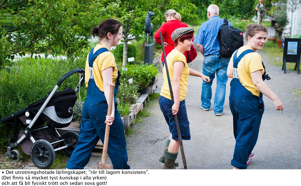 (Det finns så mycket tyst kunskap i