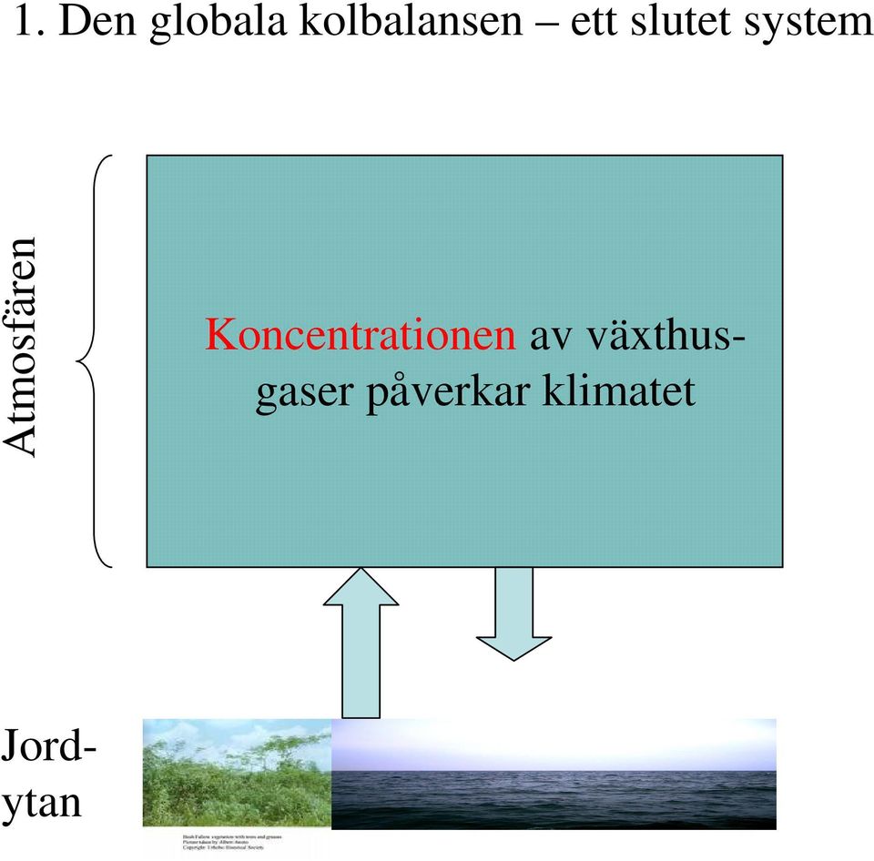 Koncentrationen av