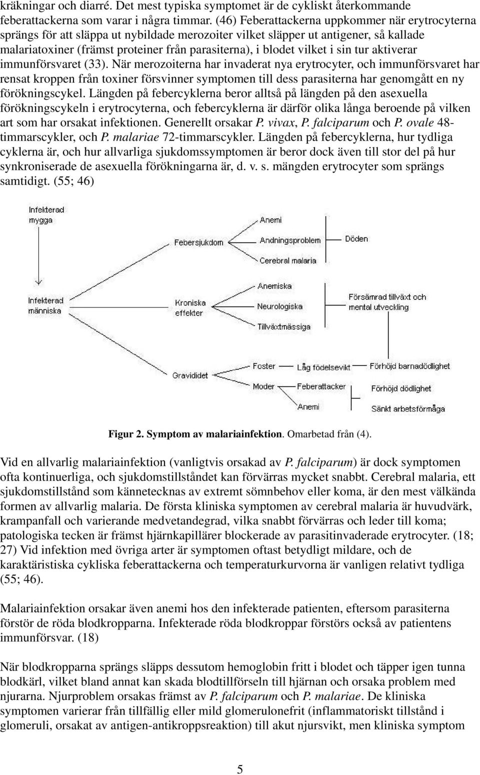 vilket i sin tur aktiverar immunförsvaret (33).