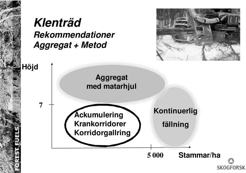 Ackumulering Krankorridorer